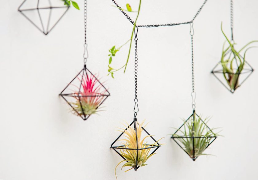 Small Air Plants Holders Black Hanging Airplants Hangers Iron Wire Airferns Display Frame Geometric Tillandsia Air Planter with Chains for Wall Mounted Decor 6pcs(No Plants) - Image 2